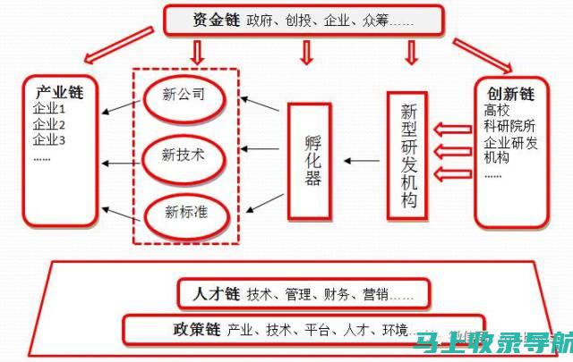 创新思路：打破常规，探索独特的SEO搜索引擎优化方案